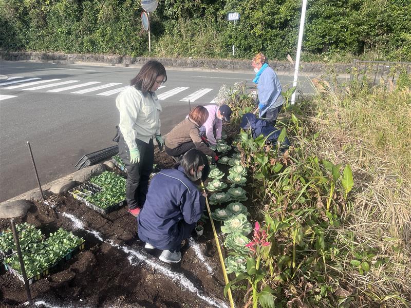 Image - 2025-12-02T112023.444